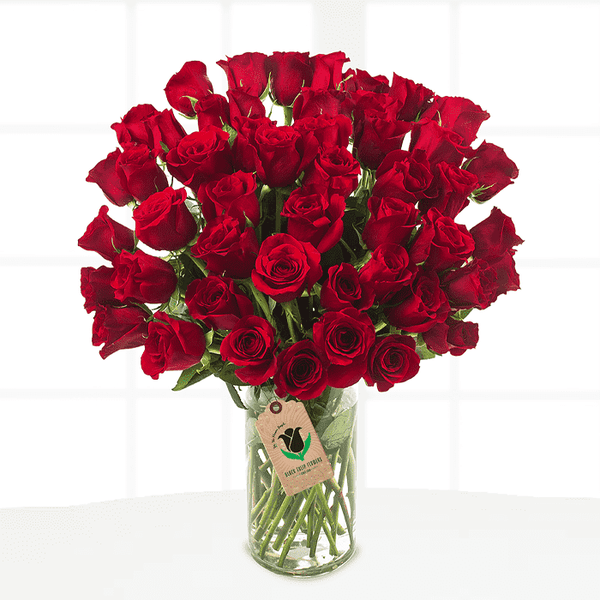 50 red roses arrangement in a transparent square glass vase.