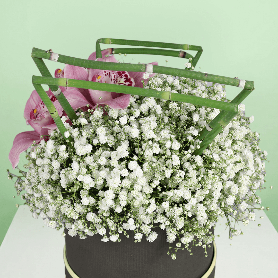 Pink cymbidium orchids with white gypsophila arranged in a black round flower box