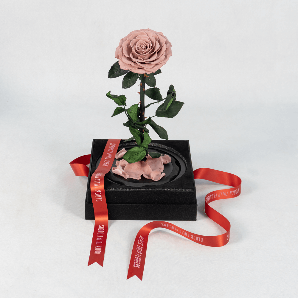 Pink preserved rose displayed in an elegant glass dome