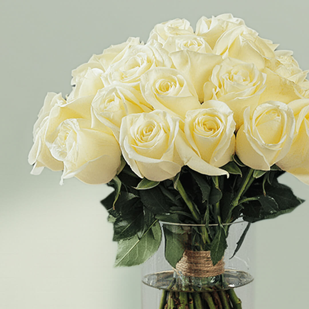 30 fresh white roses with vibrant green foliage are elegantly arranged in a transparent cylinder glass vase.