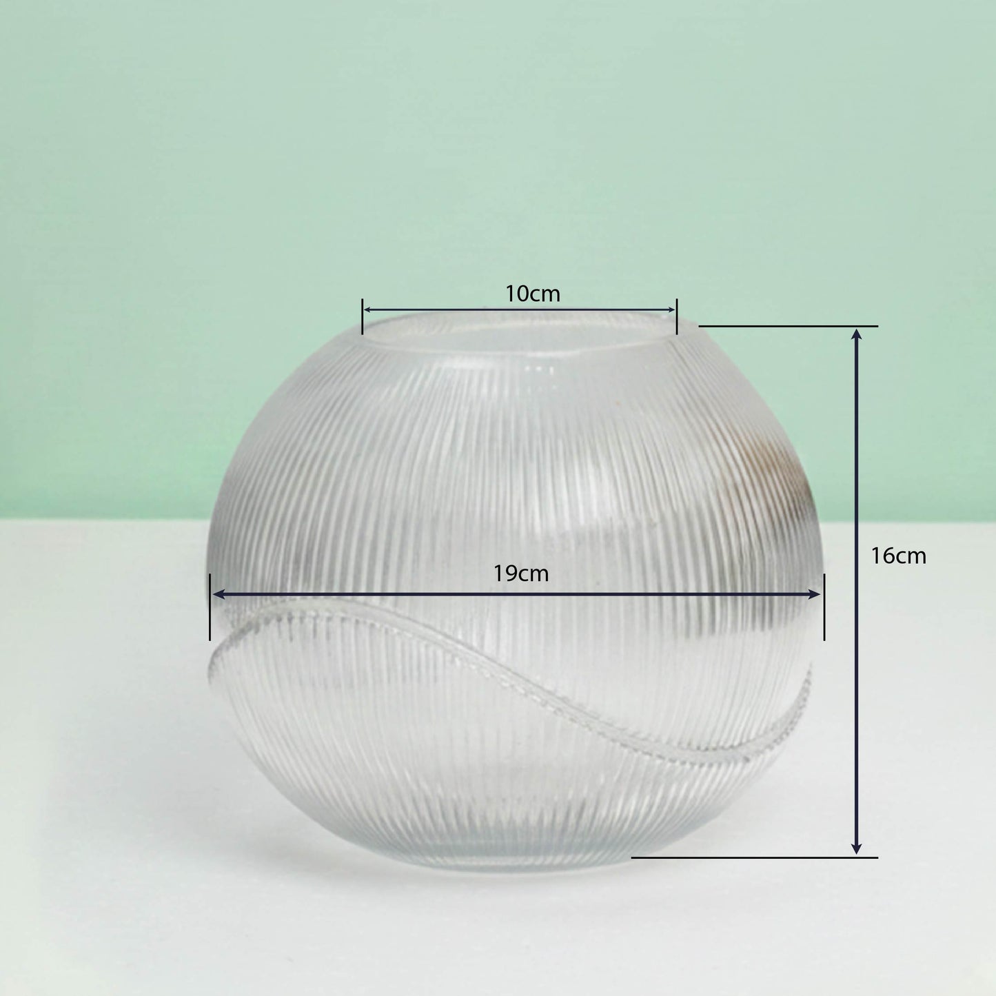 Rounded Elegance Glass Vase