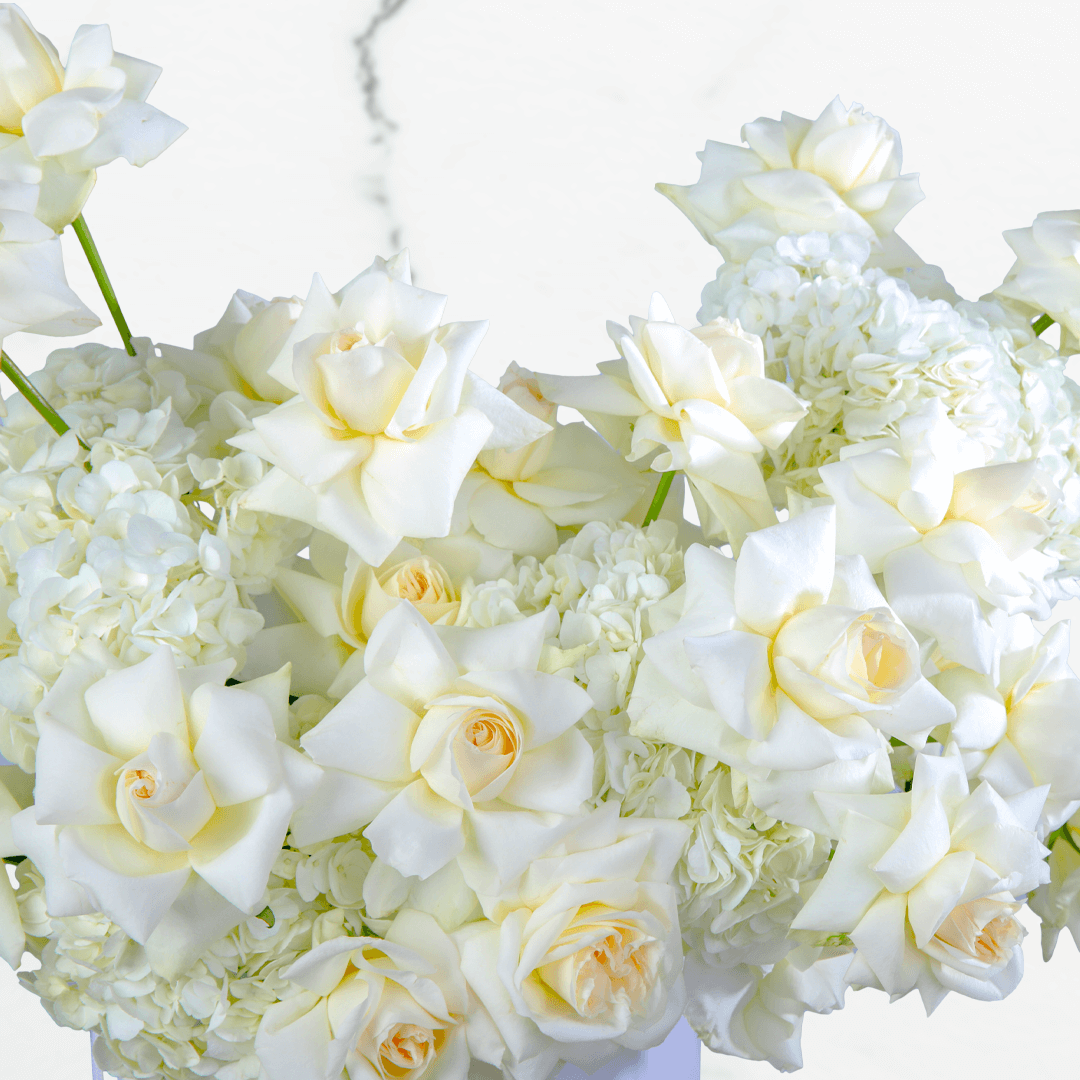 White hydrangea and rose arrangement with 30 blooms in a round white flower box.