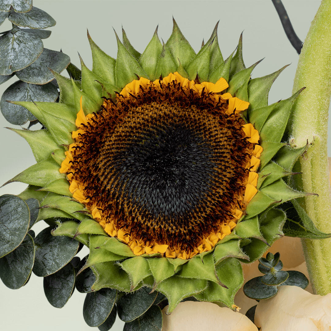 Sunflower and pink rose vase arrangement with crisped wax flowers and curly Salix
