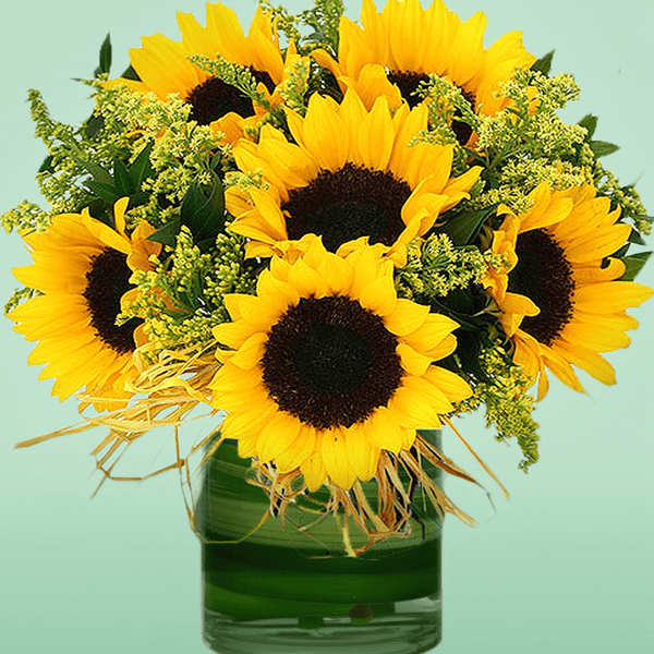 10 sunflowers and delicate fillers in a transparent glass cylinder vase.