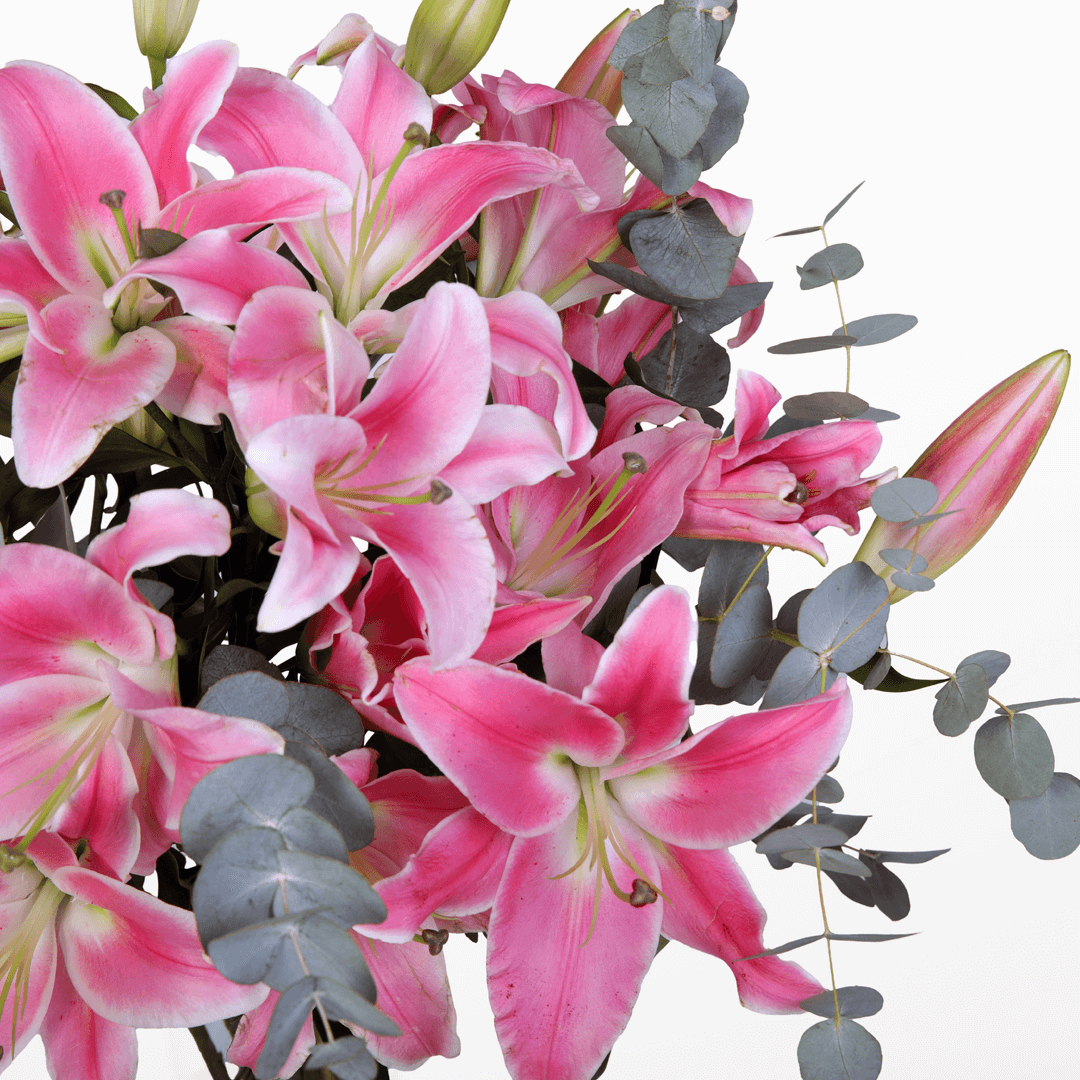 Vase arrangement featuring pink lilies and eucalyptus greenery in a transparent cylinder glass vase, finished with a branded ribbon.