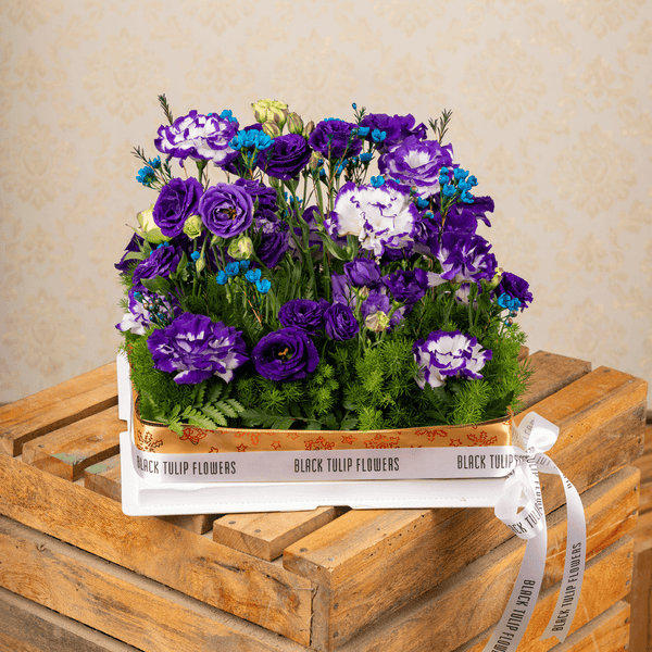 Purple and blue Eustoma with wax flowers and green leaves in a flower box