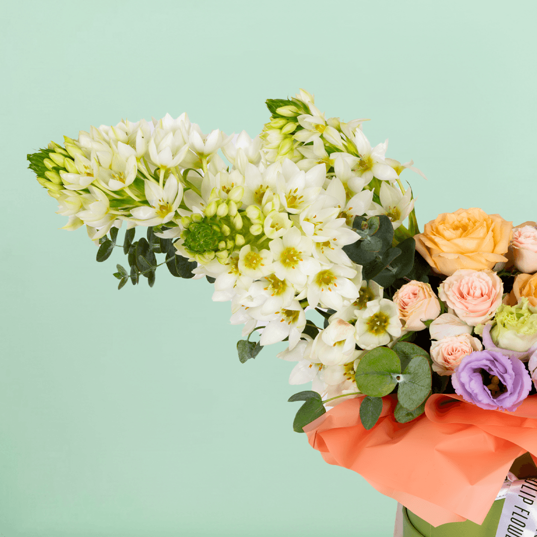 Small round flower box arranged with assorted Roses, Eustoma, Ornithogalum and Eucalyptus.