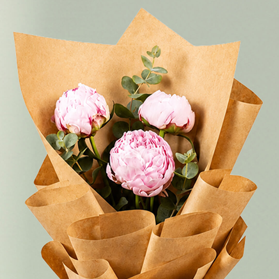 Blushing pink peony trio bouquet with fresh green fillers wrapped in elegant brown paper