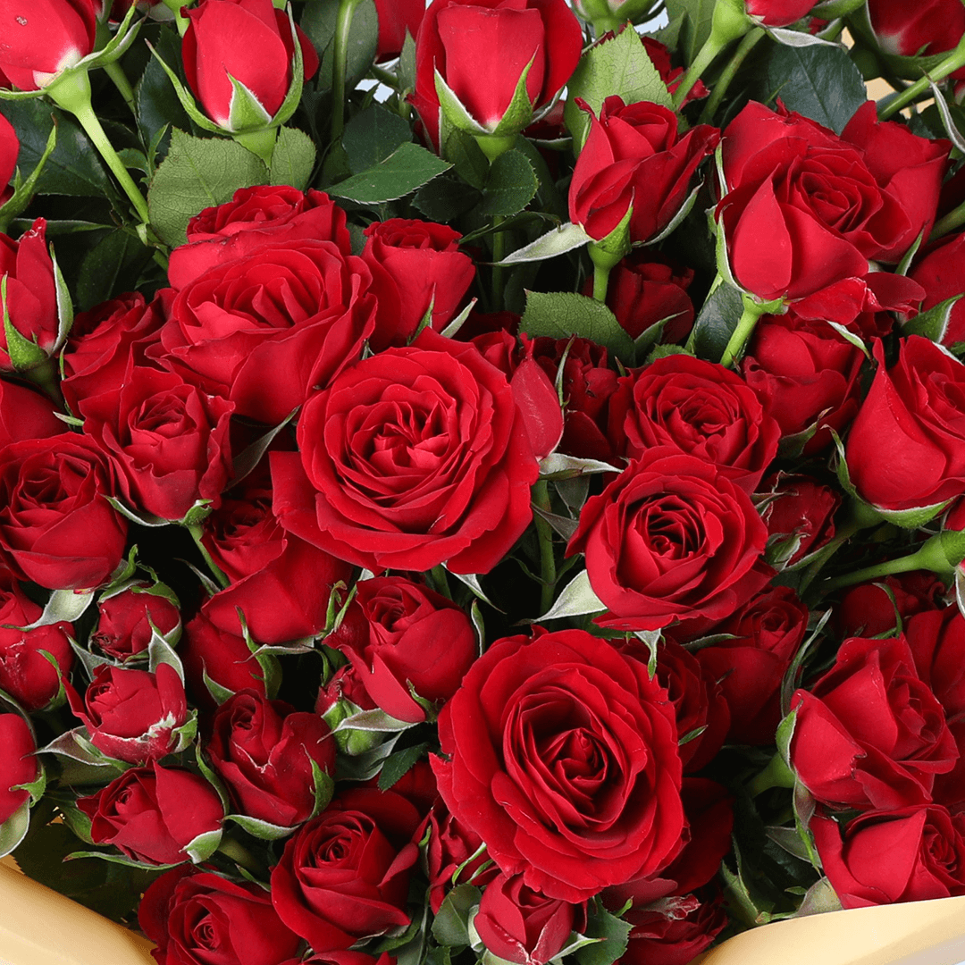Love Red Rose Grand Bouquet arranged with 60 red roses with premium green fillers