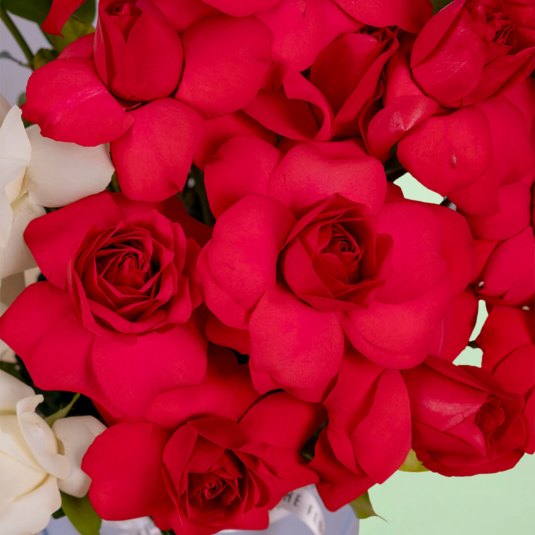 Twin Shades Red and White Rose Box