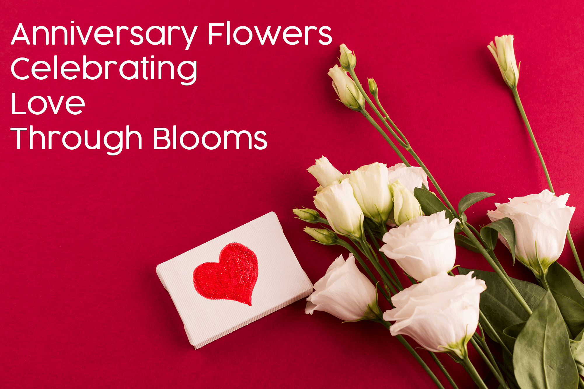 Anniversary Flowers: Celebrating Love Through Blooms