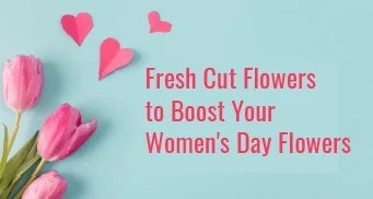 Fresh Cut Flowers to Boost Your Womens Day Flowers