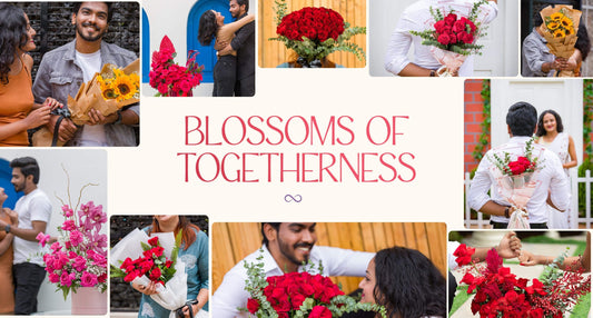 Blossoms of Togetherness: A Story of Love and Understanding