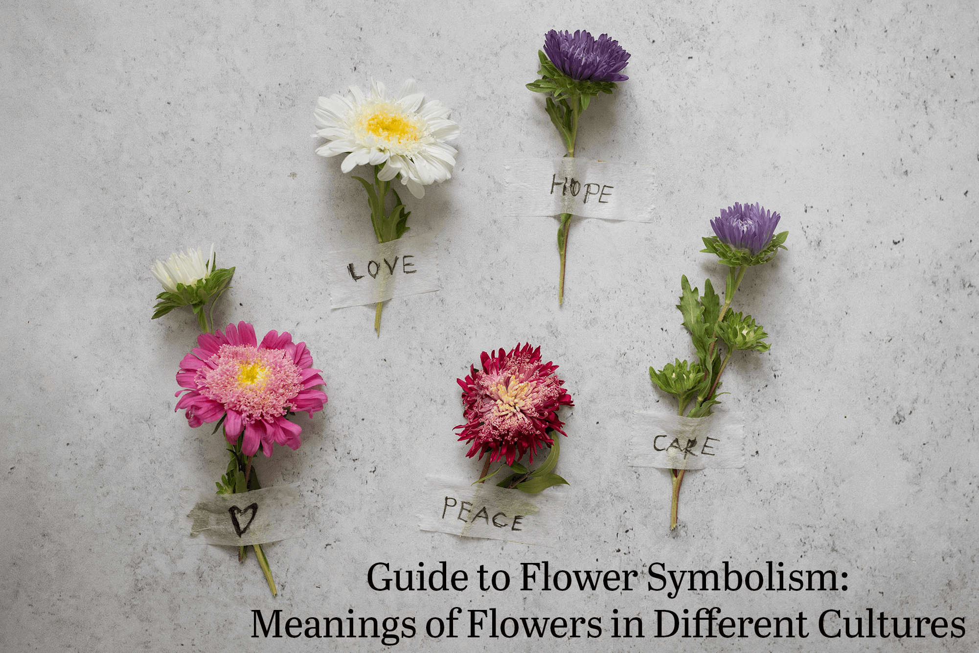 Guide to Flower Symbolism: Meanings of Flowers in Different Cultures