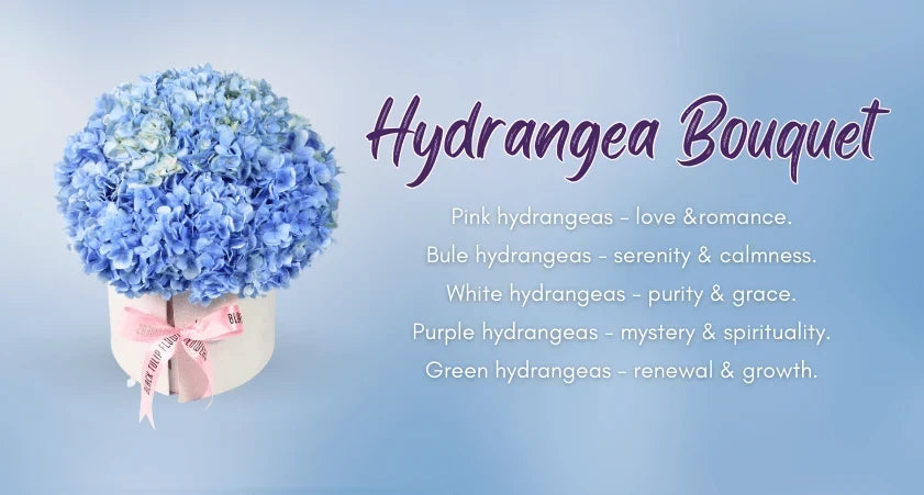 Hydrangea Bouquet: 6 Things you should Know about.