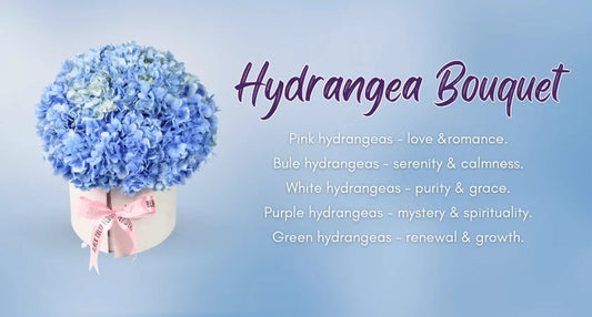 Hydrangea Bouquet: 6 Things you should Know about.