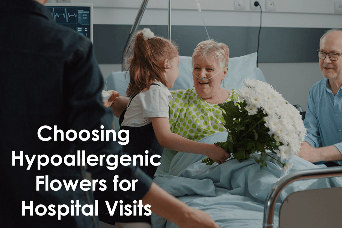 Choosing Hypoallergenic Flowers for Hospital Visits 