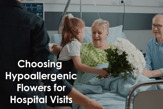 Choosing Hypoallergenic Flowers for Hospital Visits 