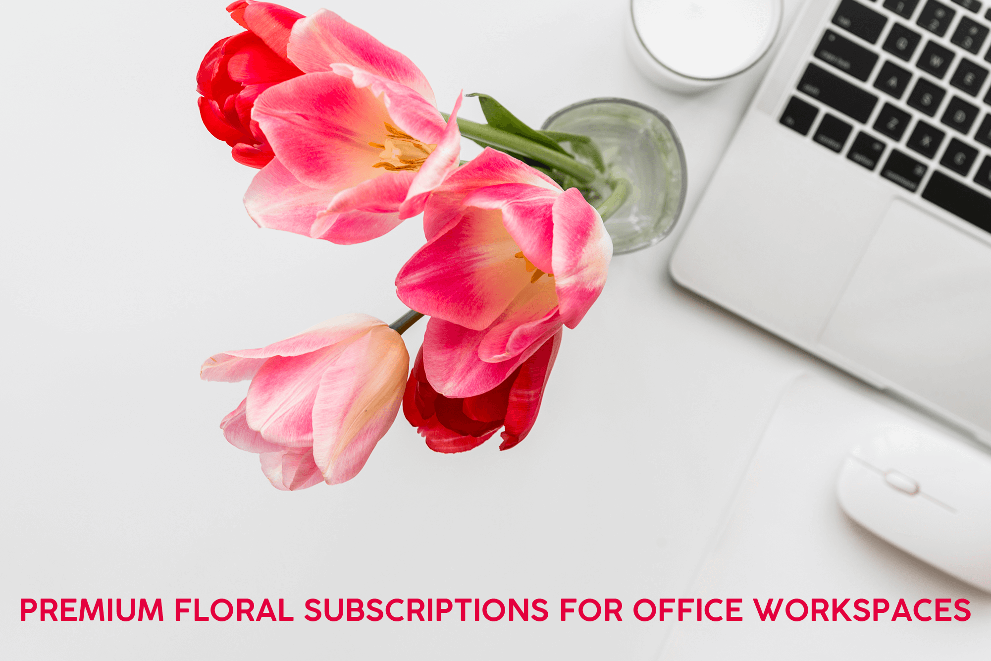 Premium Floral Subscriptions For Office Workspaces