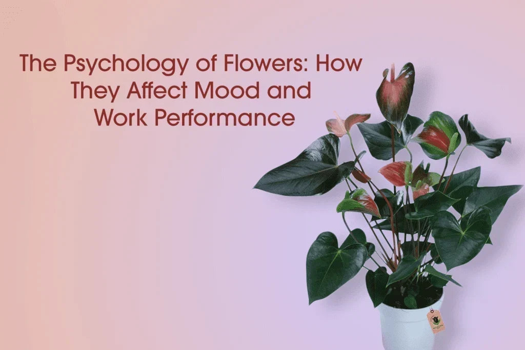 The Psychology of Flowers: How They Affect Mood and Work Performance