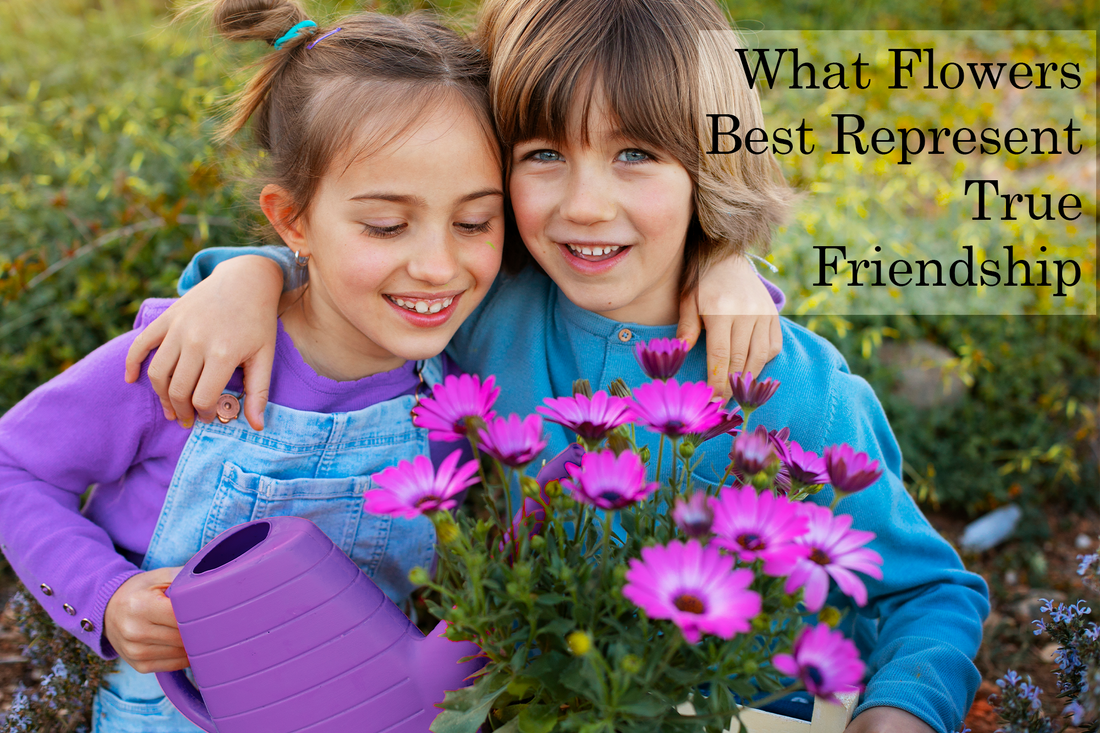 What Flowers Best Represent True Friendship? 