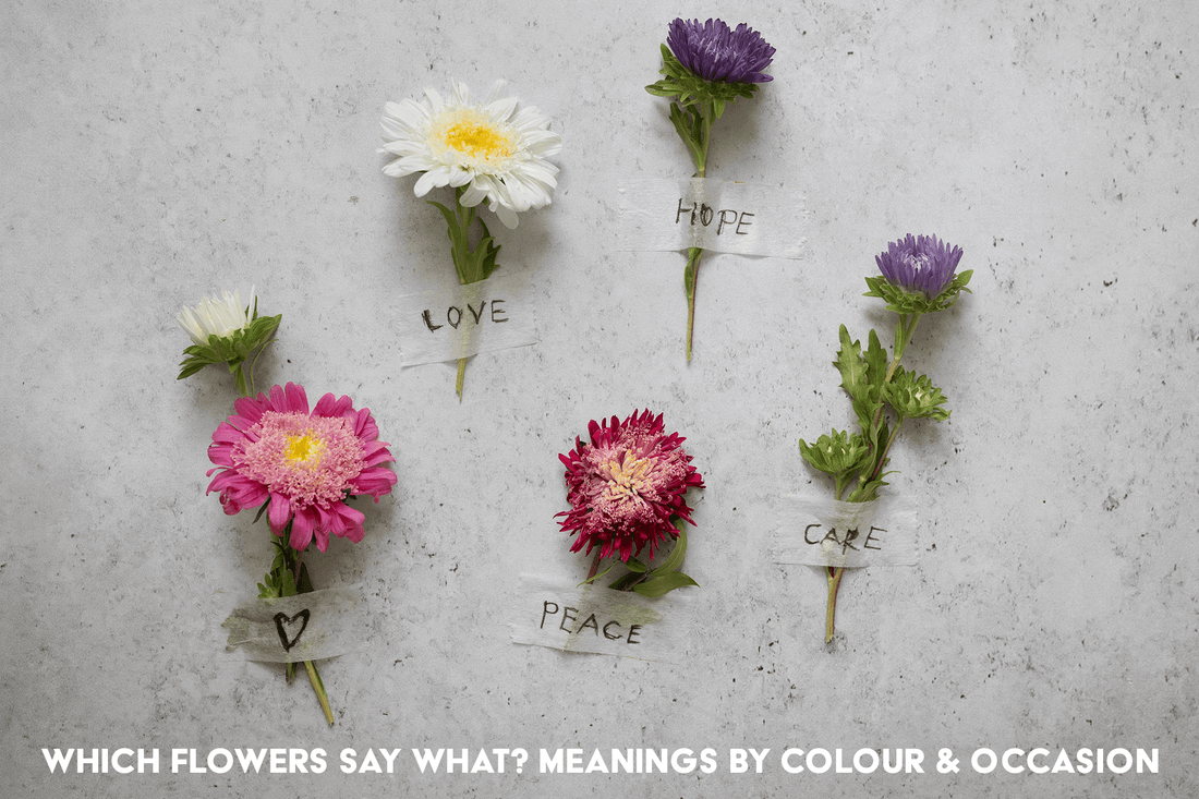 Which Flowers Say What? Meanings by Colour &amp; Occasion