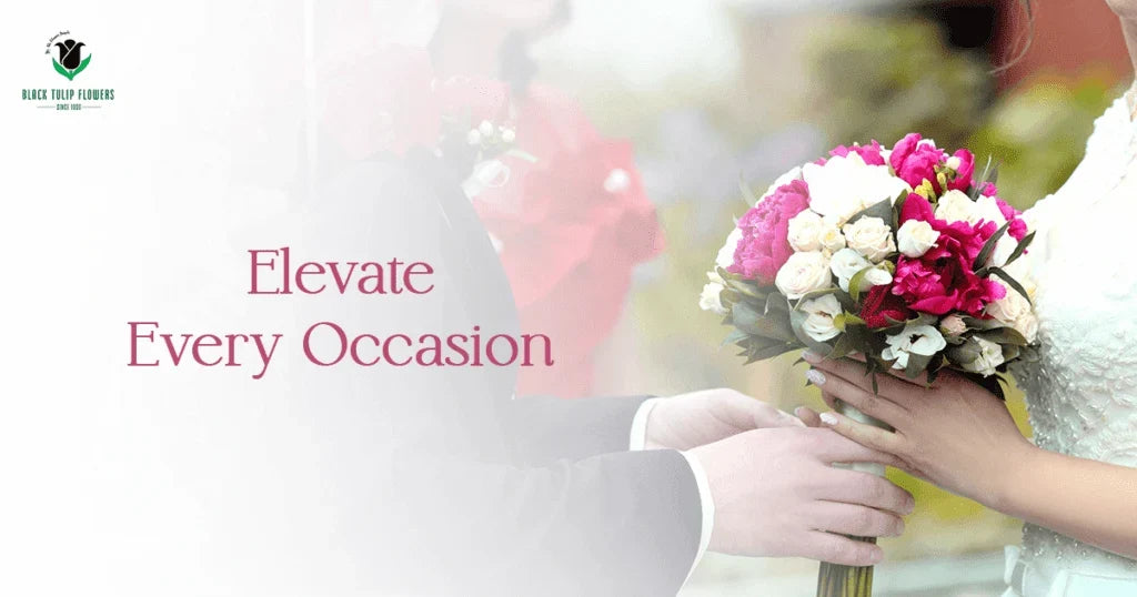 Elevate Every Occasion