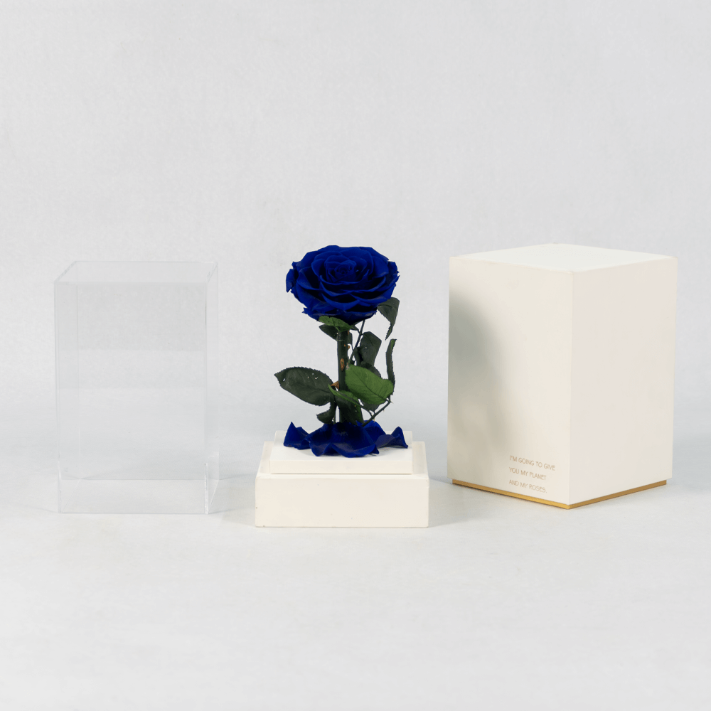 The Unexpected Blue - Preserved Rose - Image 3