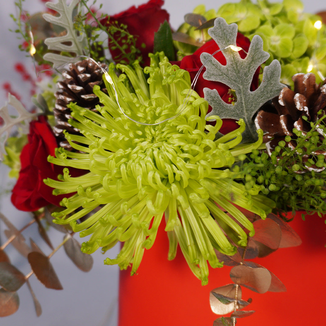 Yule Splendor - Image 3