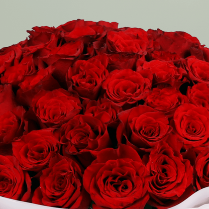 Romantic hand-tied red roses bouquet in white wrapping with burgundy ribbon