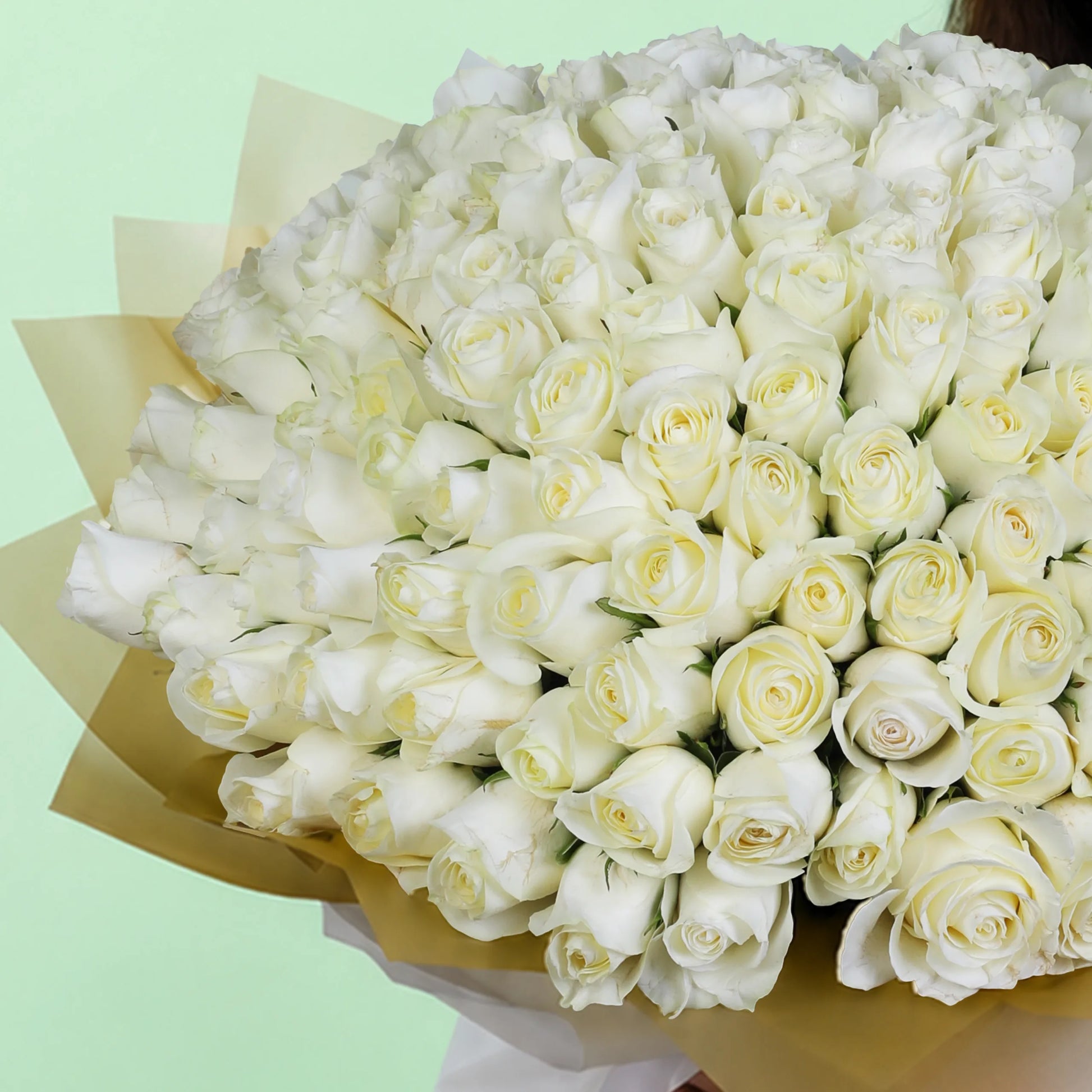 100 white roses hand bouquet with elegant wrapping for premium gifting