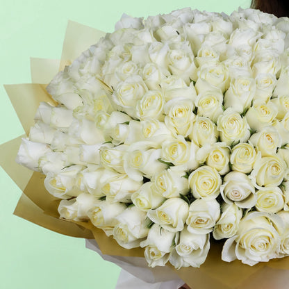 100 white roses hand bouquet with elegant wrapping for premium gifting