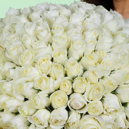 100 white roses hand bouquet with elegant wrapping for premium gifting