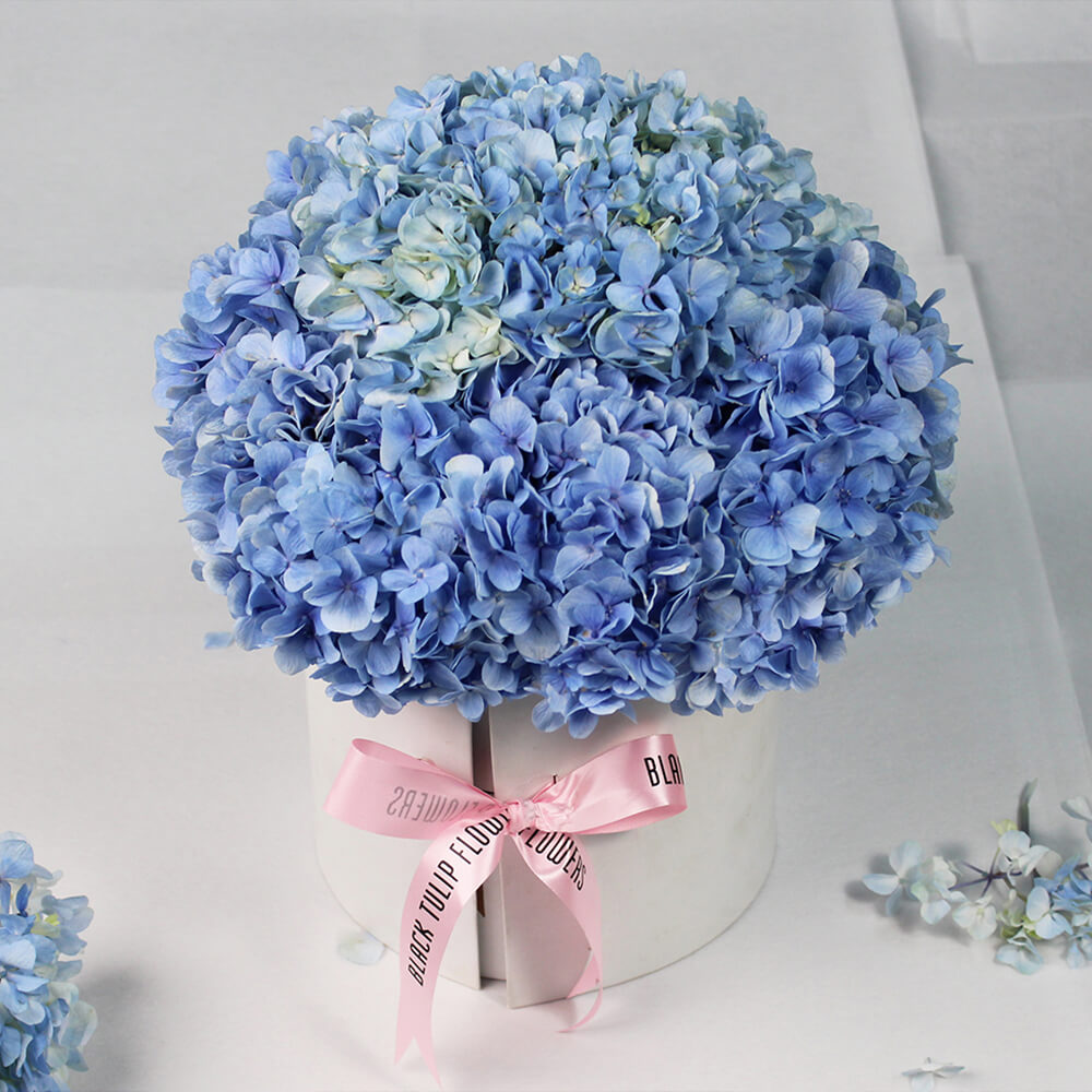 Hydrangea Harmony - Image 2
