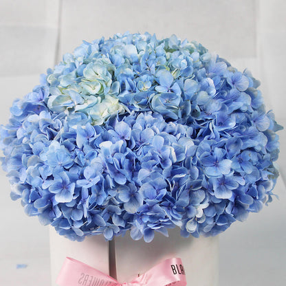 Hydrangea Harmony - Image 3