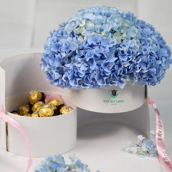 Hydrangea Harmony - Image 1