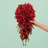 15 Mokara Orchid Bridal Bouquet