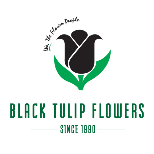 Black Tulip Flowers India