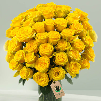 Vase arrangement featuring 50 yellow roses in a transparent glass cylinder vase.