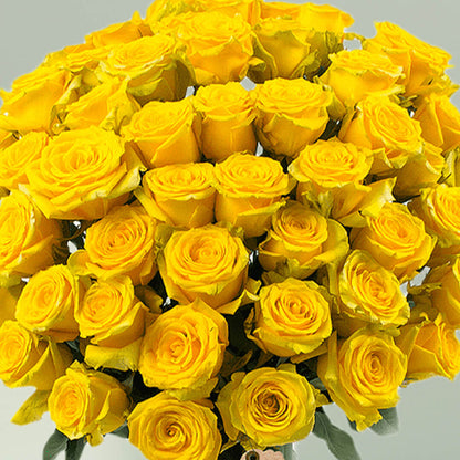 Vase arrangement featuring 50 yellow roses in a transparent glass cylinder vase.