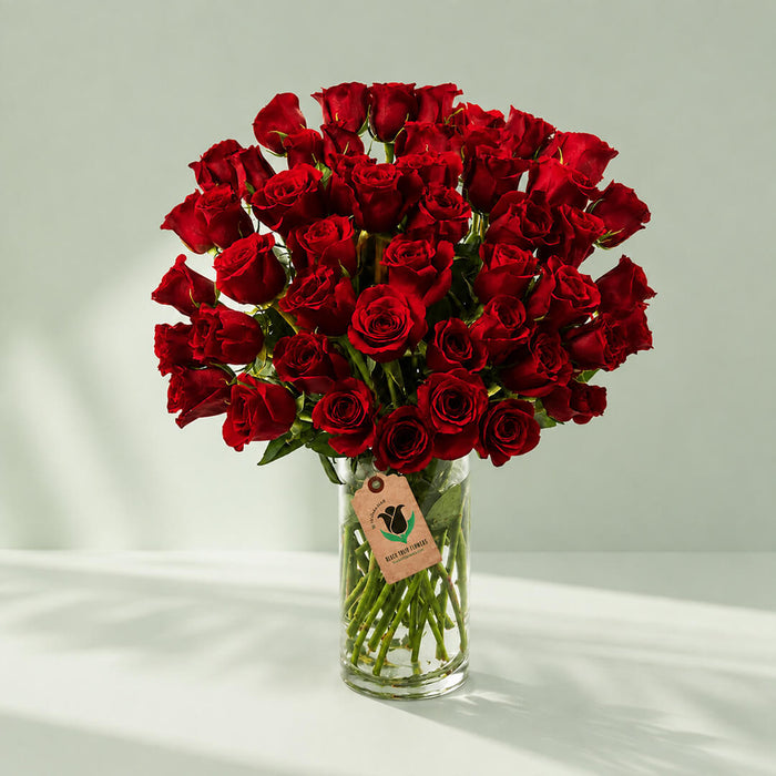 50 Red Roses in Vase
