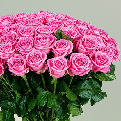 Beautiful luxury pink rose bouquet featuring 75 fresh roses in a lush rounded arrangement
