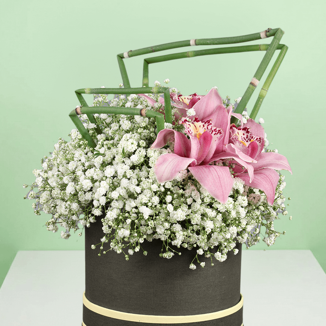 Pink cymbidium orchids with white gypsophila arranged in a black round flower box
