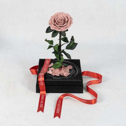 Pink preserved rose displayed in an elegant glass dome