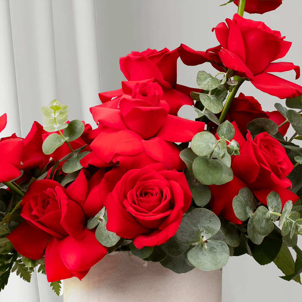 Red Roses with Eucalyptus arranged in a white round flower box.