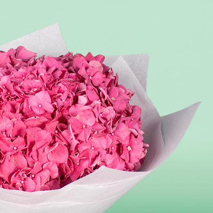Bright pink hydrangeas wrapped in white non-woven paper with a brown ribbon
