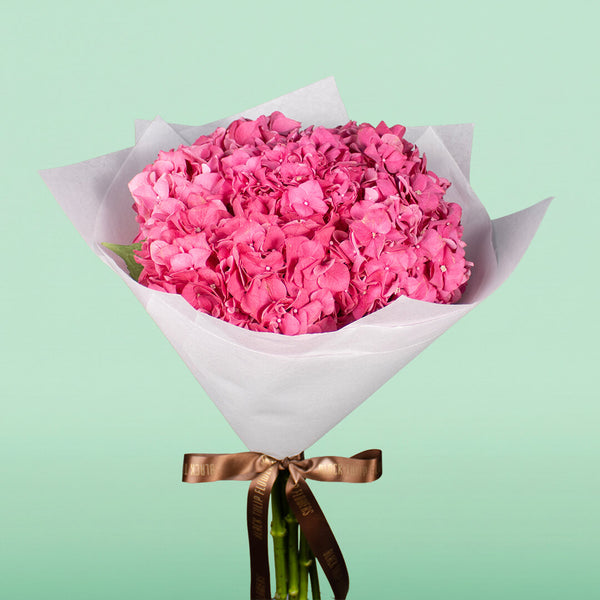 Bright pink hydrangeas wrapped in white non-woven paper with a brown ribbon
