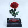 Bleeding Heart - Preserved Rose