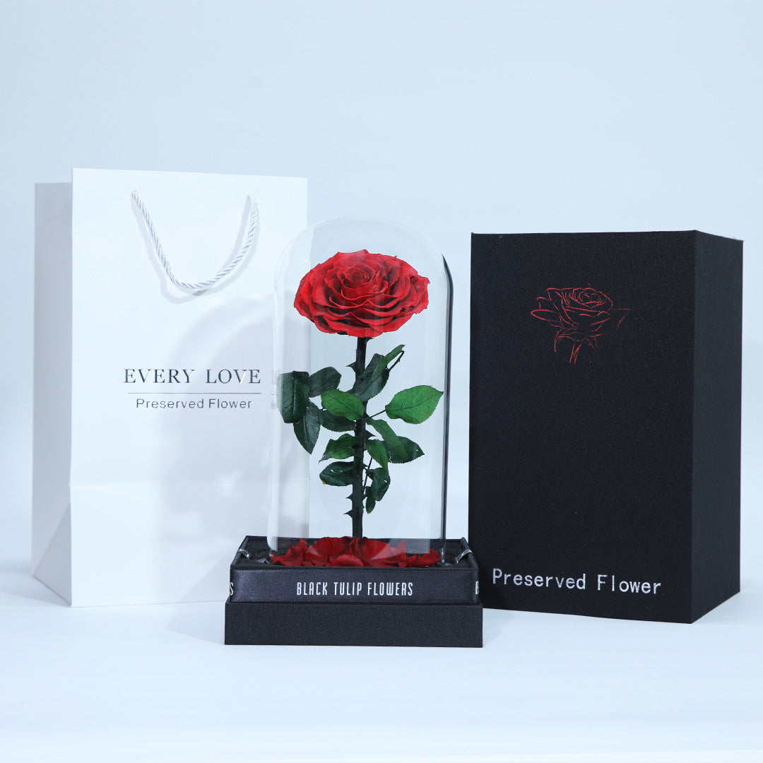 Preserved red rose displayed in an elegant glass dome