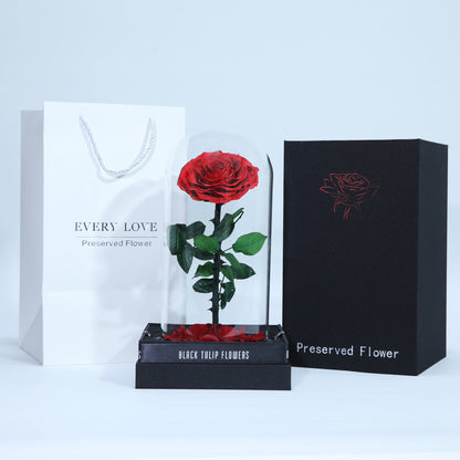 Preserved red rose displayed in an elegant glass dome